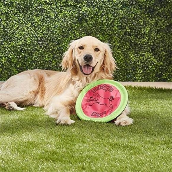 Petmate Booda Tail-Spin Flyer Floating Dog Frisbee, Multi, 10-Inch - Picture 2 of 8